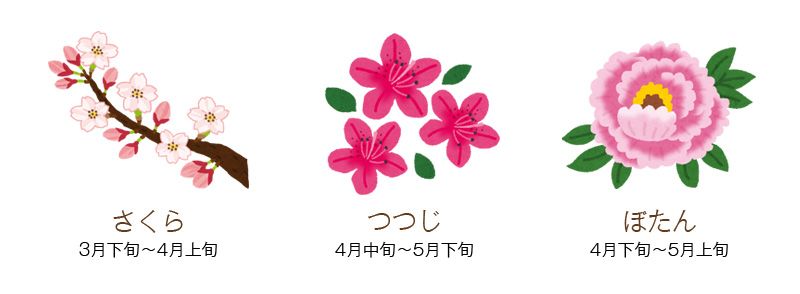 春の花 春の花